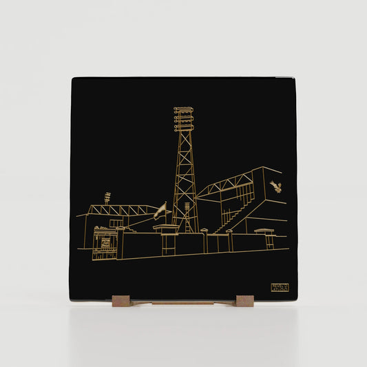 De Adelaarshorst – Tegel – Go Ahead Eagles – Eredivisie - DEVENTER